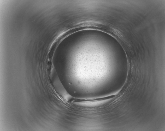 X0000052571164200507152244