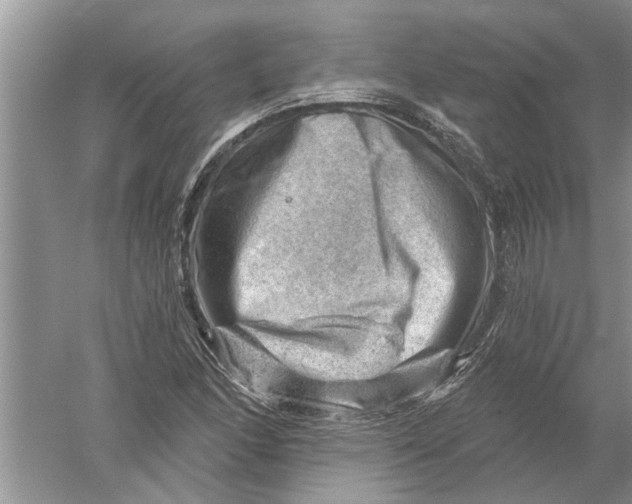 X0000052571166200507152244