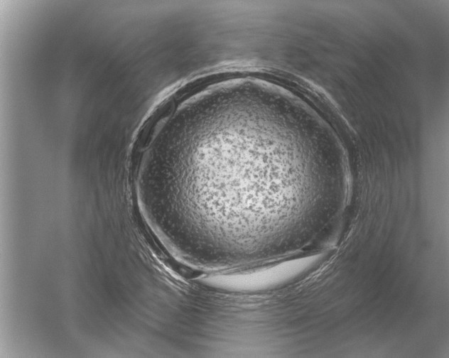 X0000052571168200507152244