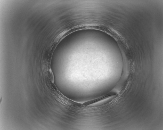 X0000052571169200507152244