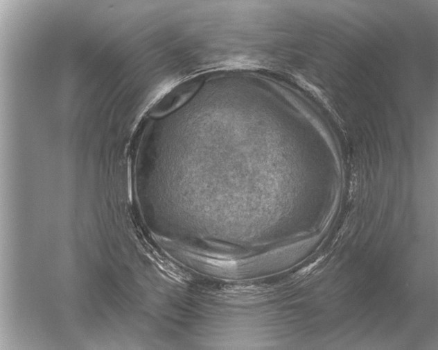 X0000052571171200507152244