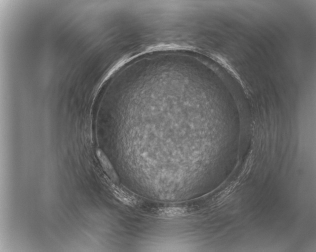 X0000052571173200507152244