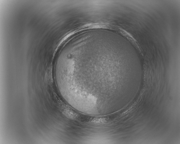 X0000052571174200507152244