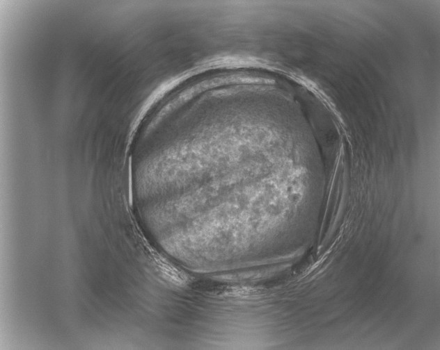 X0000052571175200507152244