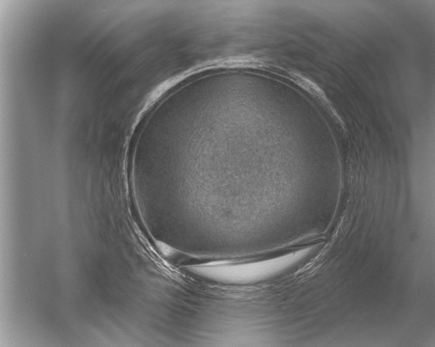 X0000052571176200507152244