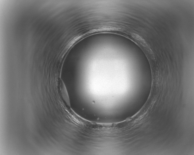 X0000052571177200507152244