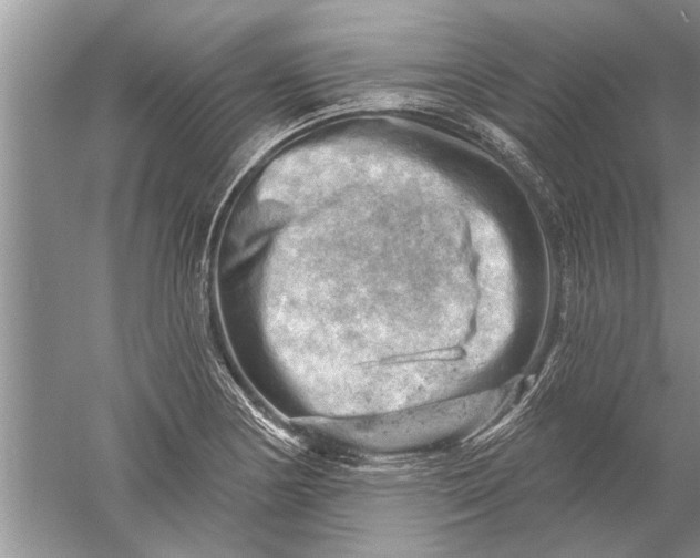 X0000052571178200507152244