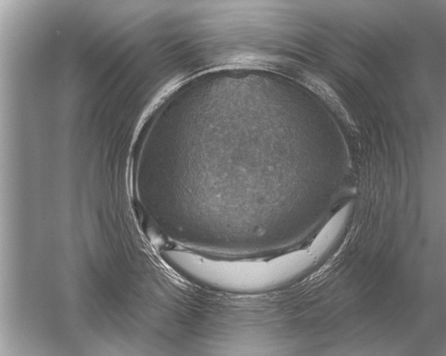 X0000052571180200507152244