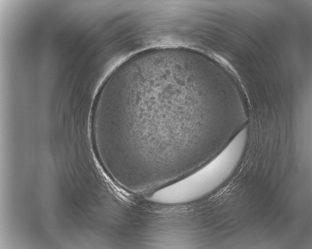 X0000052571183200507152244