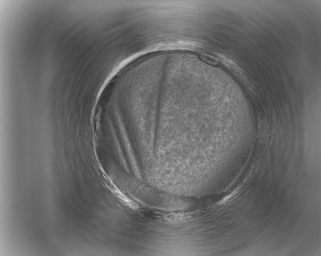 X0000052571184200507152244