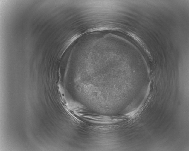 X0000052571185200507152244