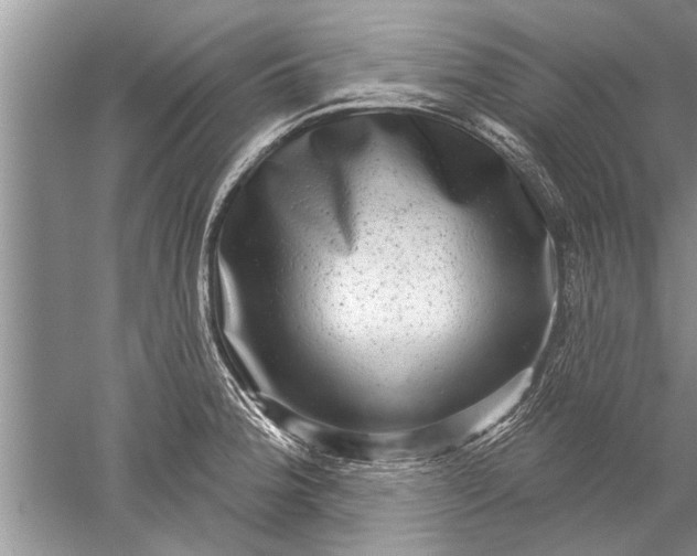 X0000052571188200507152244