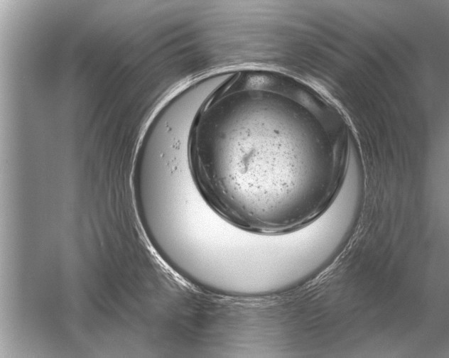 X0000052571189200507152244