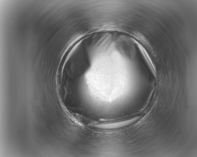 X0000052571190200507152244