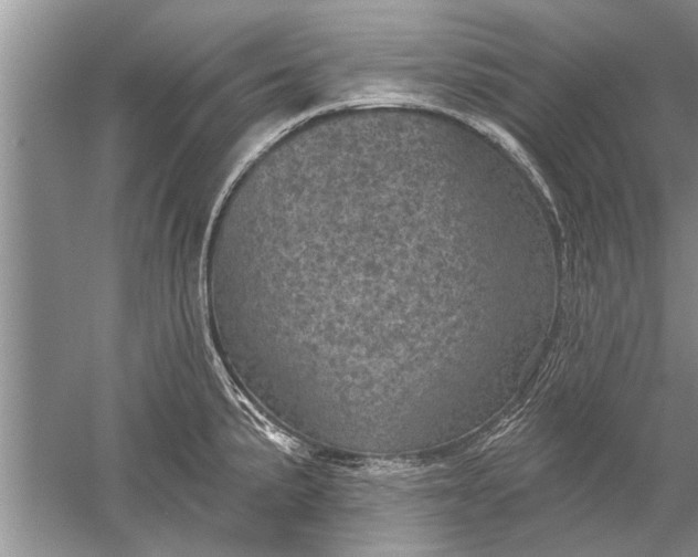 X0000052571191200507152244