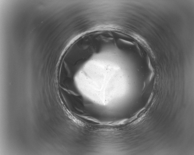 X0000052571192200507152244