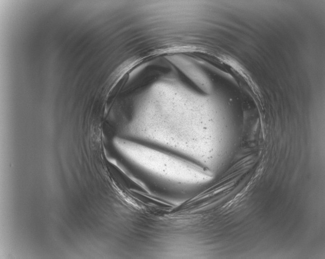 X0000052571193200507152244