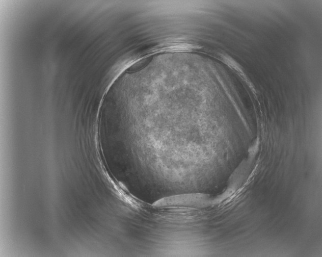 X0000052571194200507152244