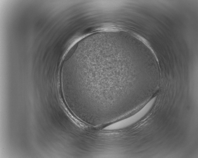 X0000052571195200507152244