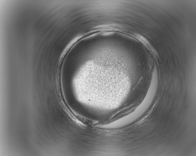 X0000052571196200507152244