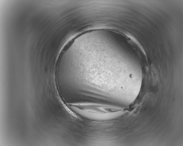 X0000052571197200507152244