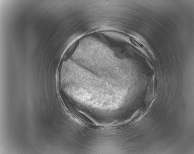 X0000052571198200507152244