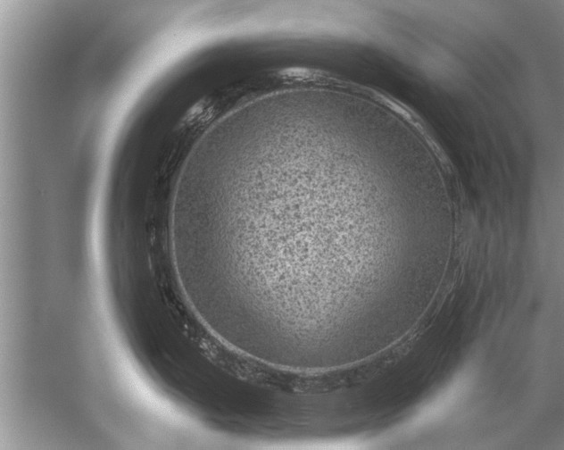 X0000052571199200507152244