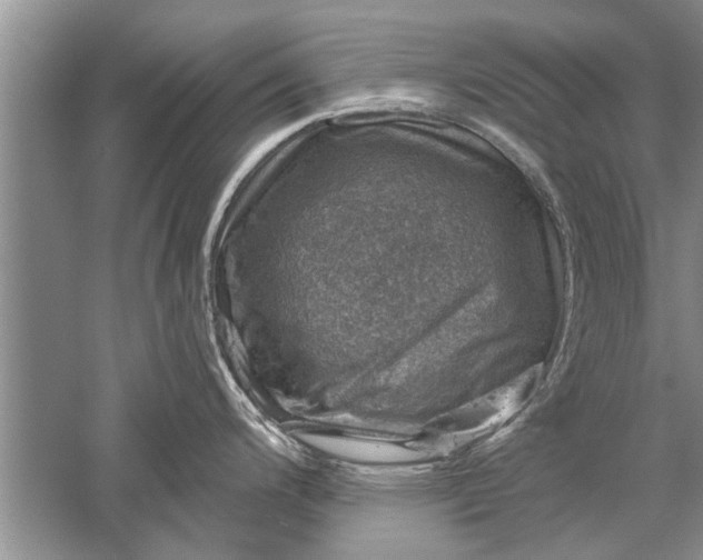 X0000052571200200507152244