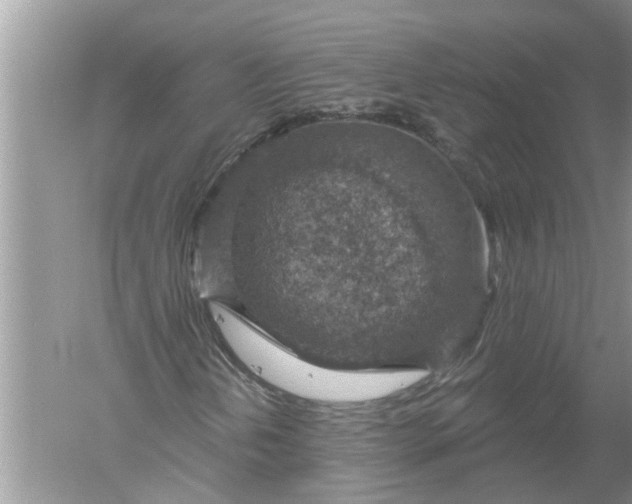 X0000052571202200507152243