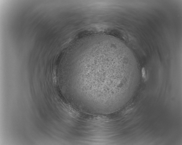 X0000052571203200507152243