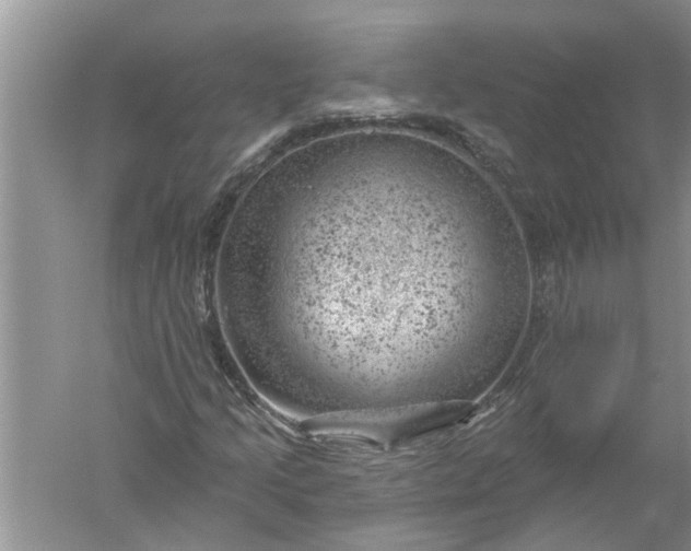 X0000052571205200507152243