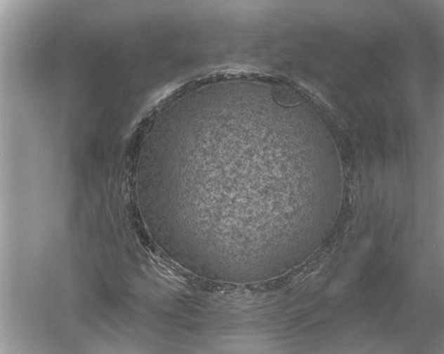 X0000052571207200507152243