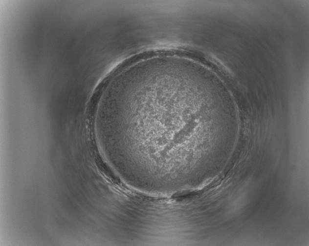 X0000052571208200507152243