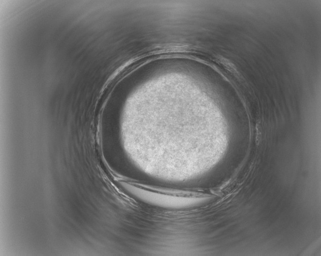 X0000052571212200507152243