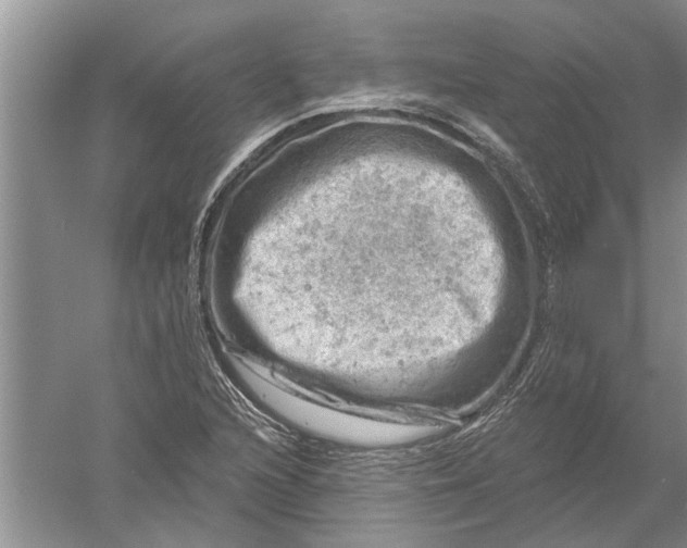 X0000052571216200507152243