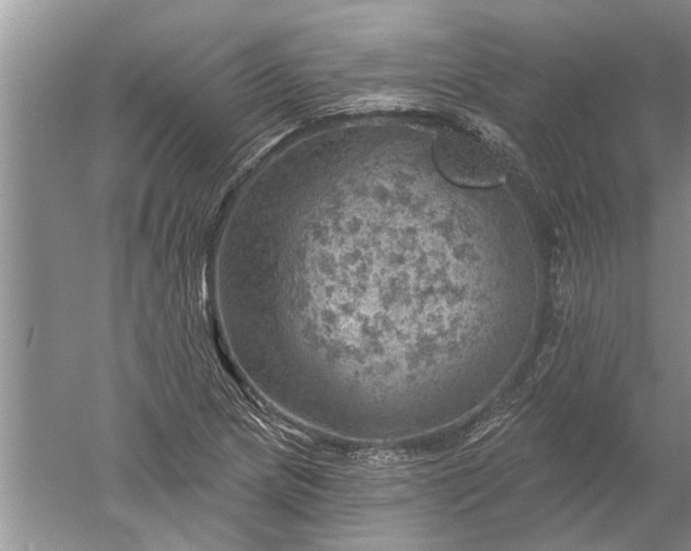 X0000052571217200507152243