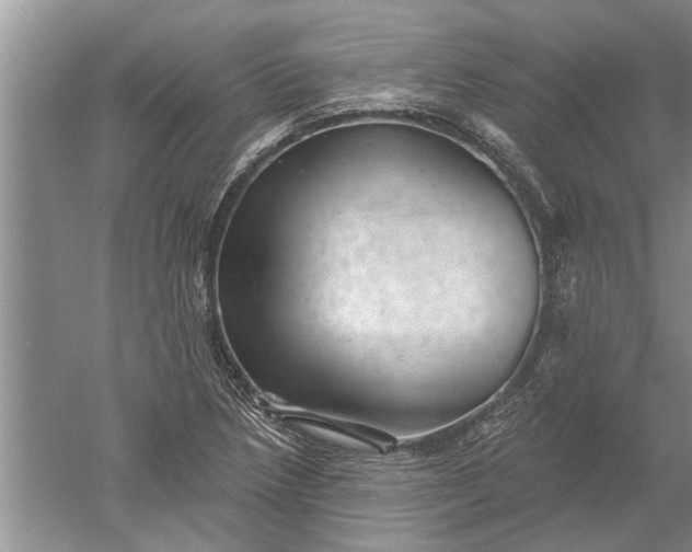 X0000052571218200507152243