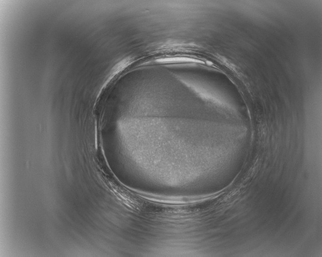 X0000052571219200507152243