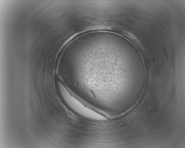 X0000052571220200507152243