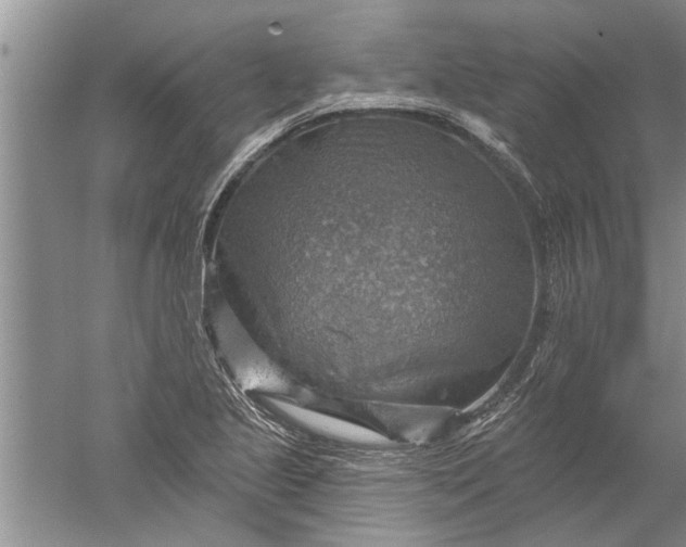 X0000052571221200507152243