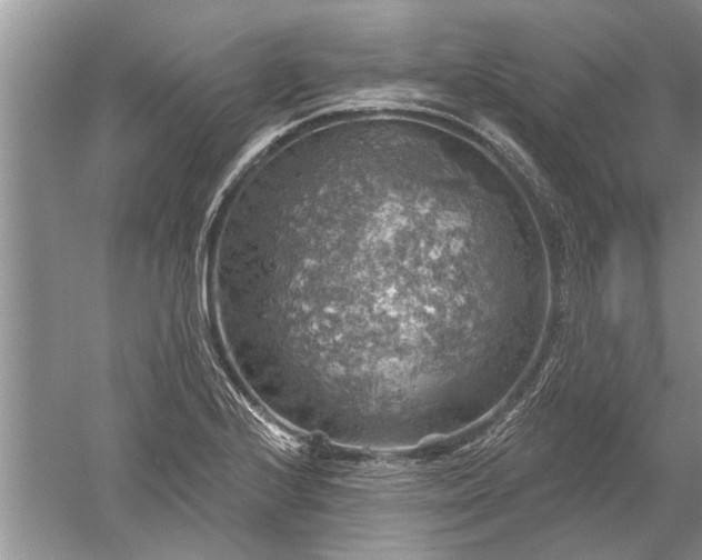 X0000052571224200507152243