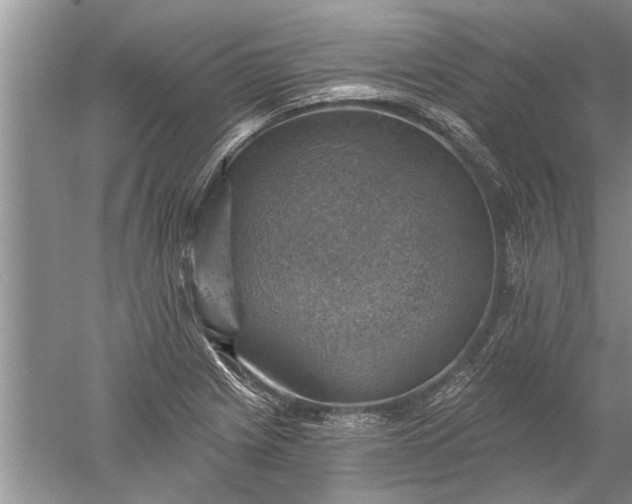 X0000052571225200507152243