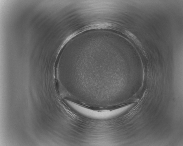 X0000052571226200507152243