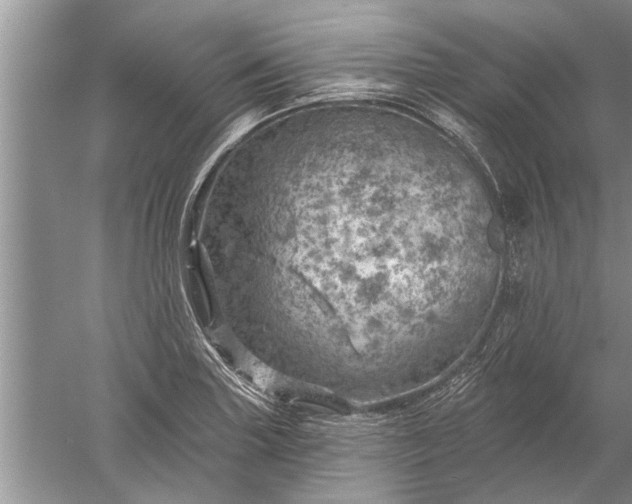 X0000052571227200507152243