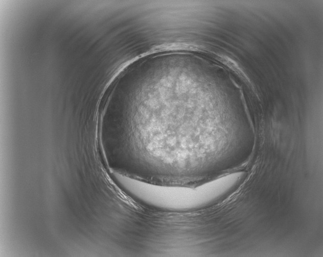 X0000052571228200507152243