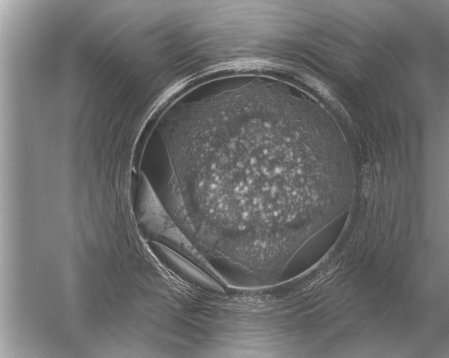 X0000052571229200507152243