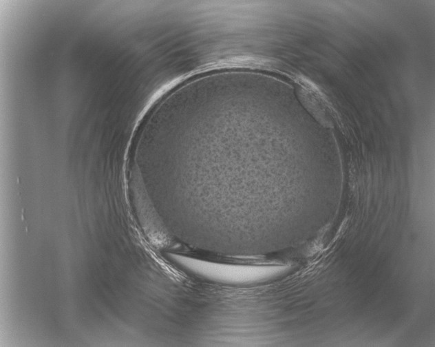 X0000052571230200507152243