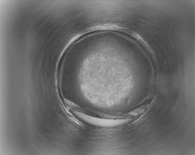 X0000052571232200507152244