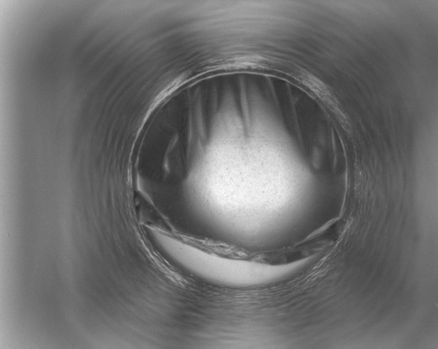 X0000052571234200507152244