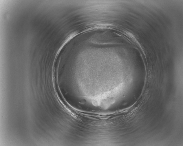 X0000052571235200507152244